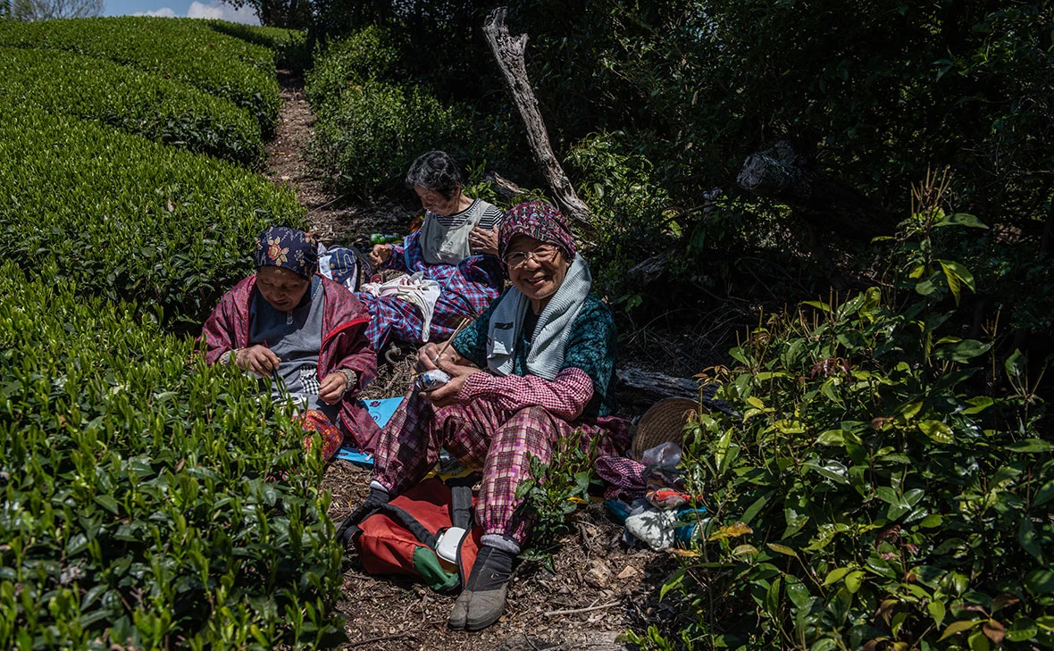 Carl Court / Getty Images