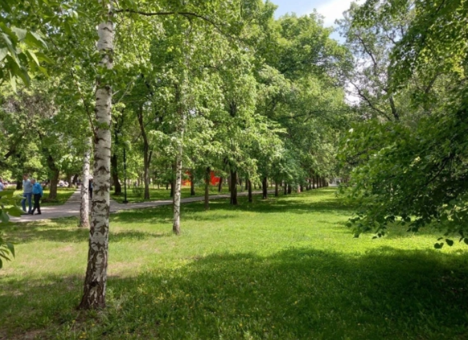 РБК Новосибирск 