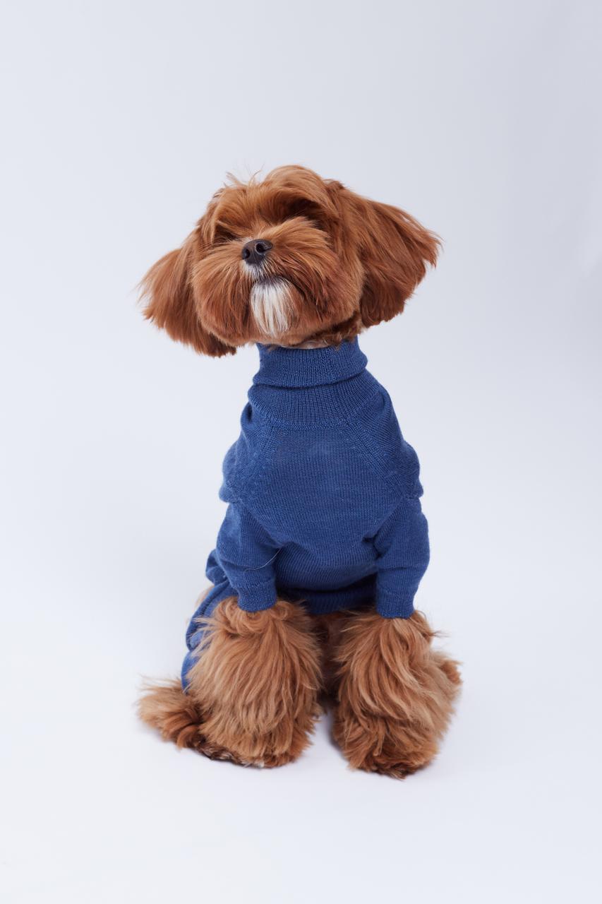 Фото: Hug me dog