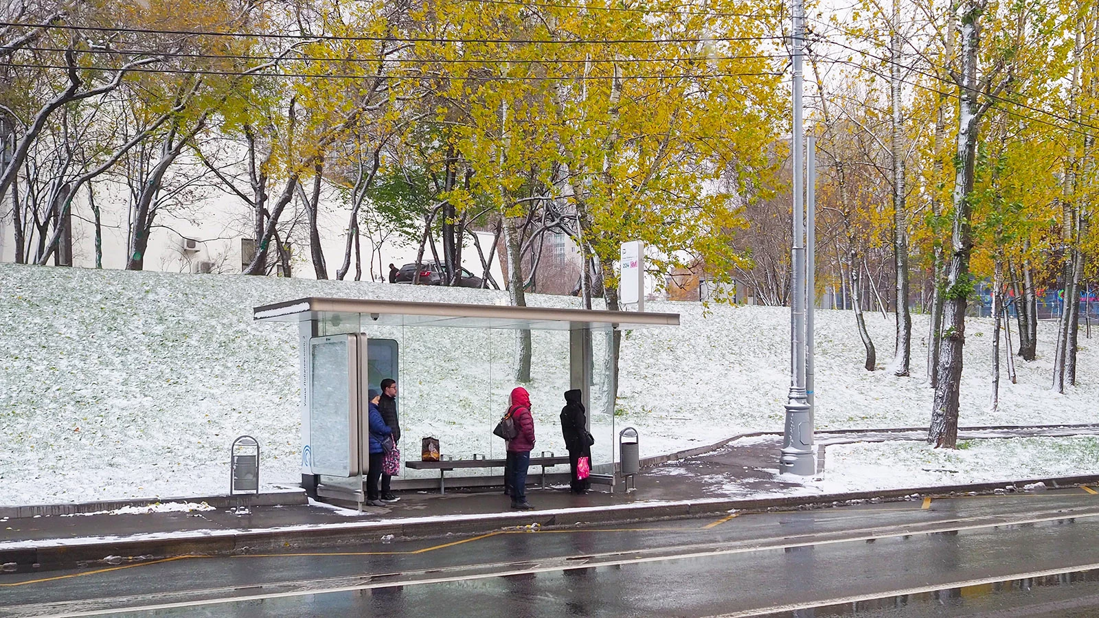 Синоптик сообщила, когда в Москве выпадет снег