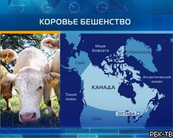 В Канаде подтвержден очередной случай коровьего бешенства