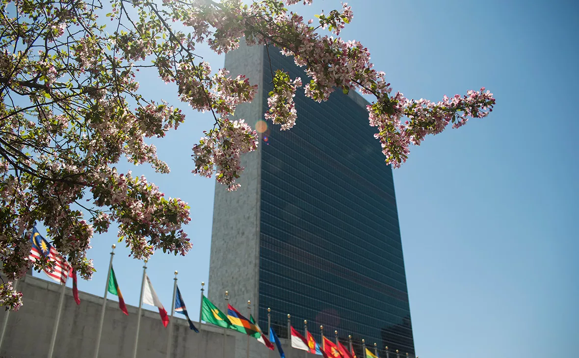 Анна Сергеева для РБК