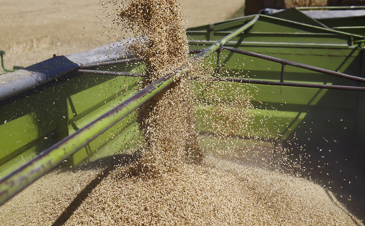 Hannibal Hanschke / Getty Images