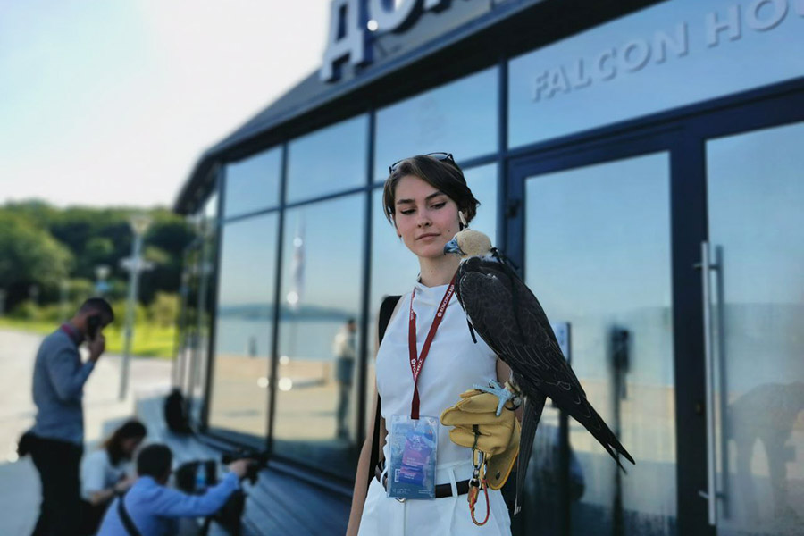 Павильон &laquo;Дом Сокола&raquo;, организованный Минприроды и правительством Камчатки.