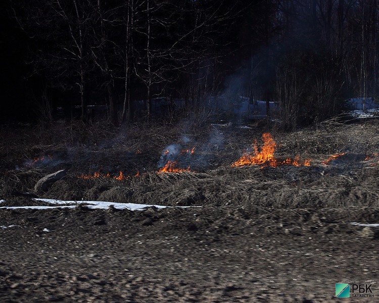 Власти РТ запретили сжигать сухую траву