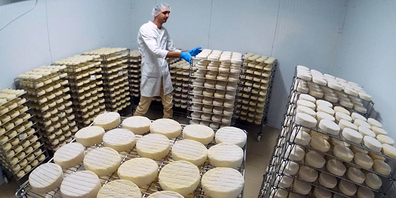 ГОСТ всемогущий: сделанный не по ГОСТу сыр запретят называть российским
