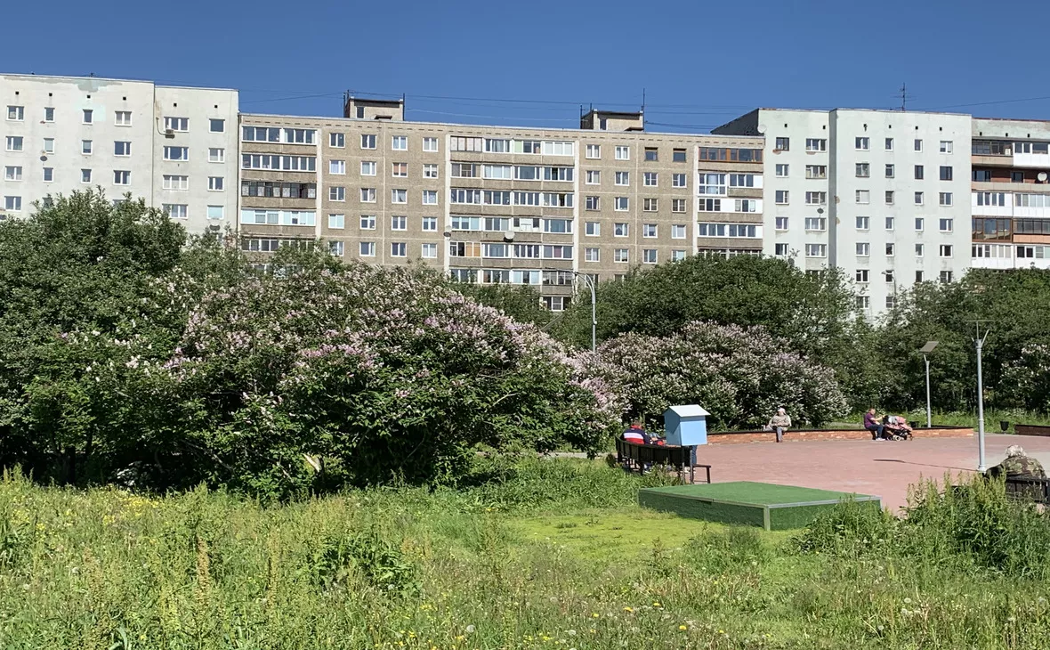 РБК Мурманск
