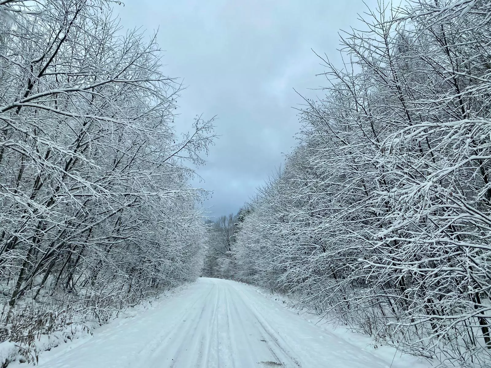 РБК Приморье