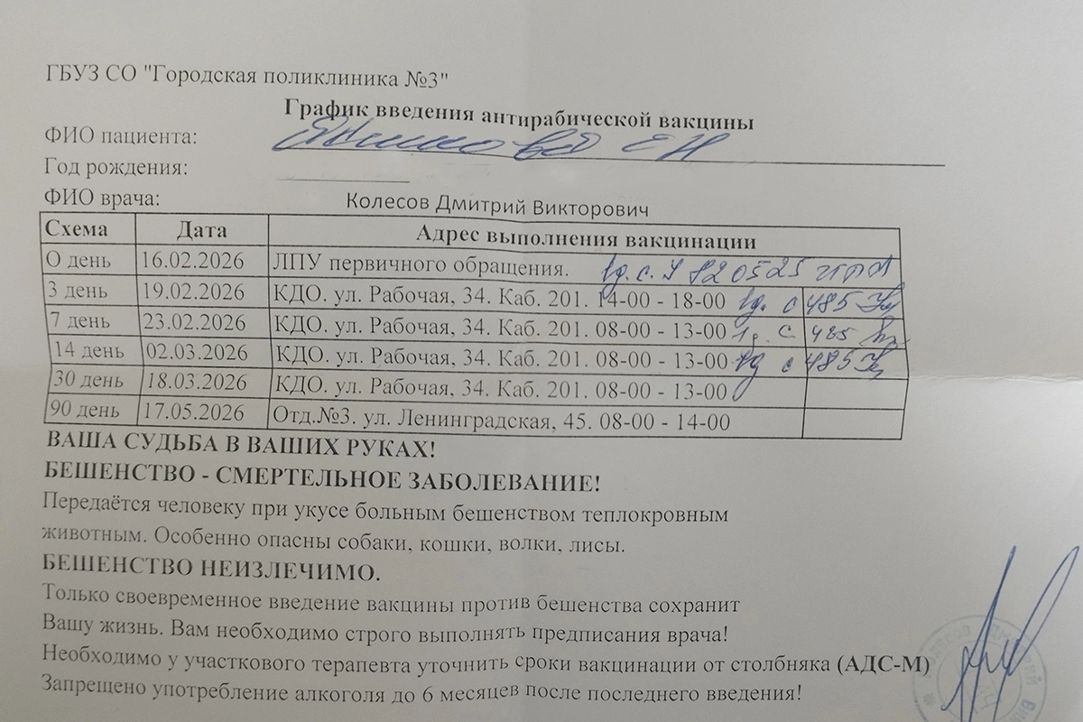 Укус животного и вакцинация от бешенства: личный опыт редактора РБК Life