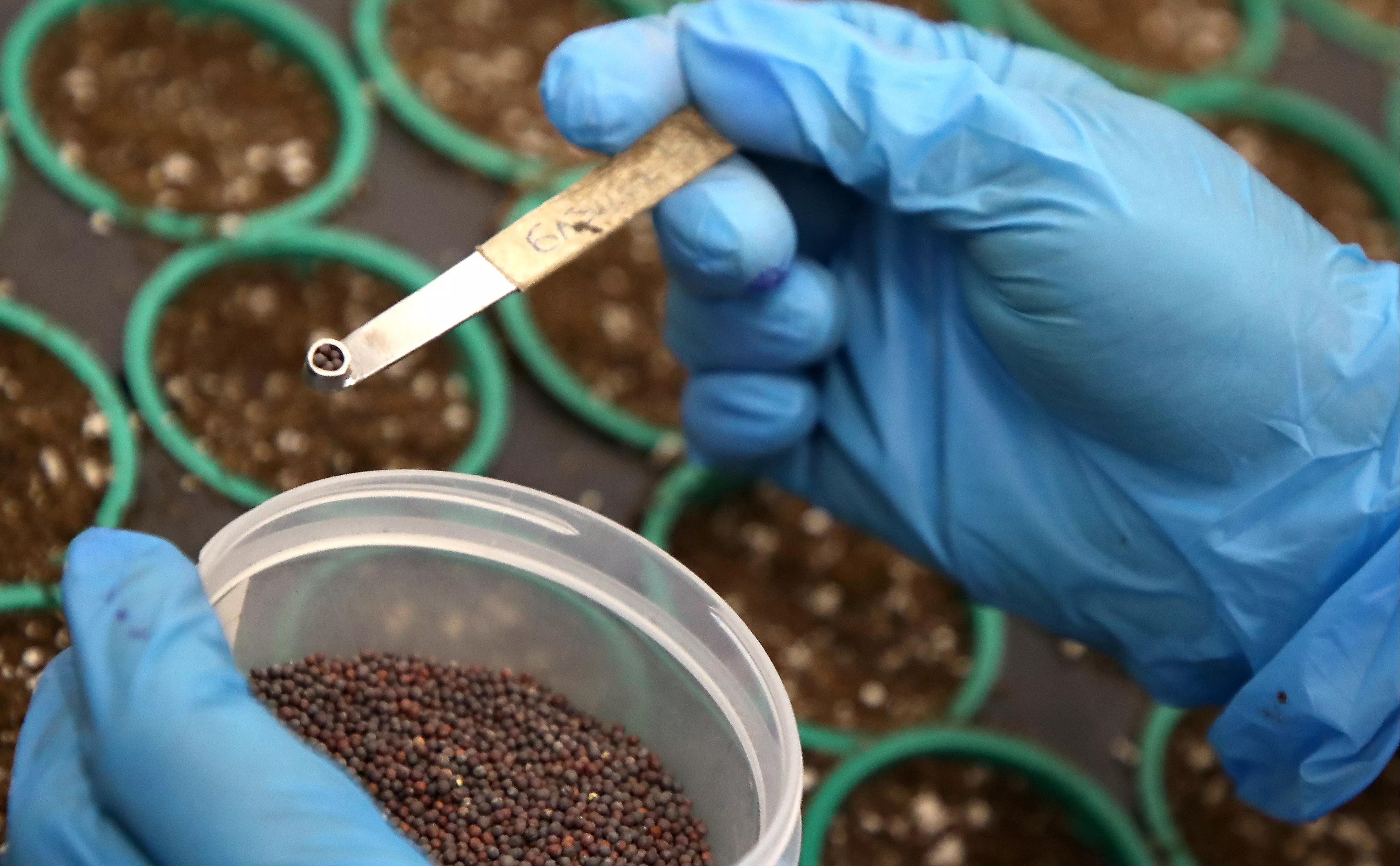 Антон Новодережкин / ТАСС