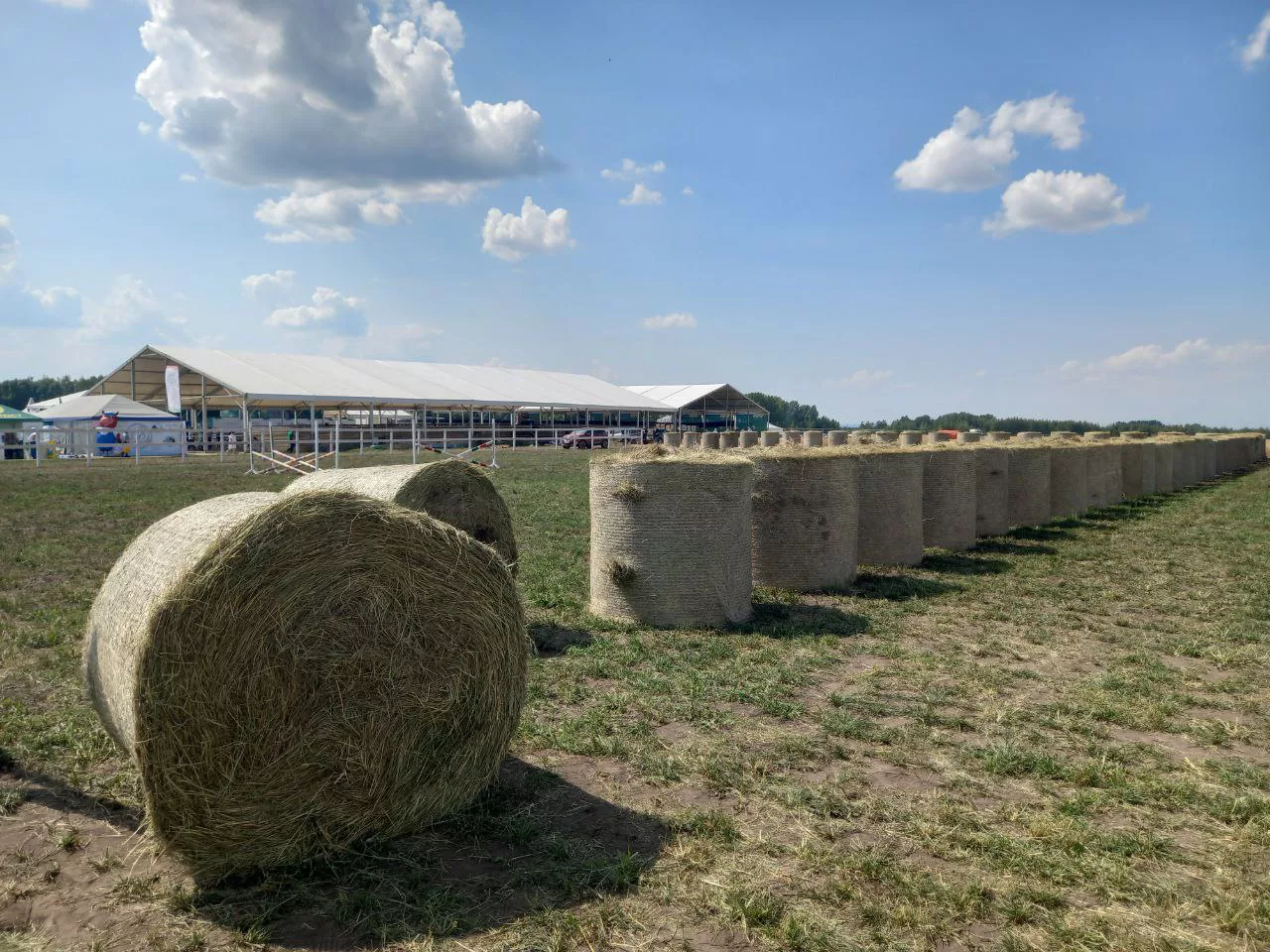 РБК Татарстан