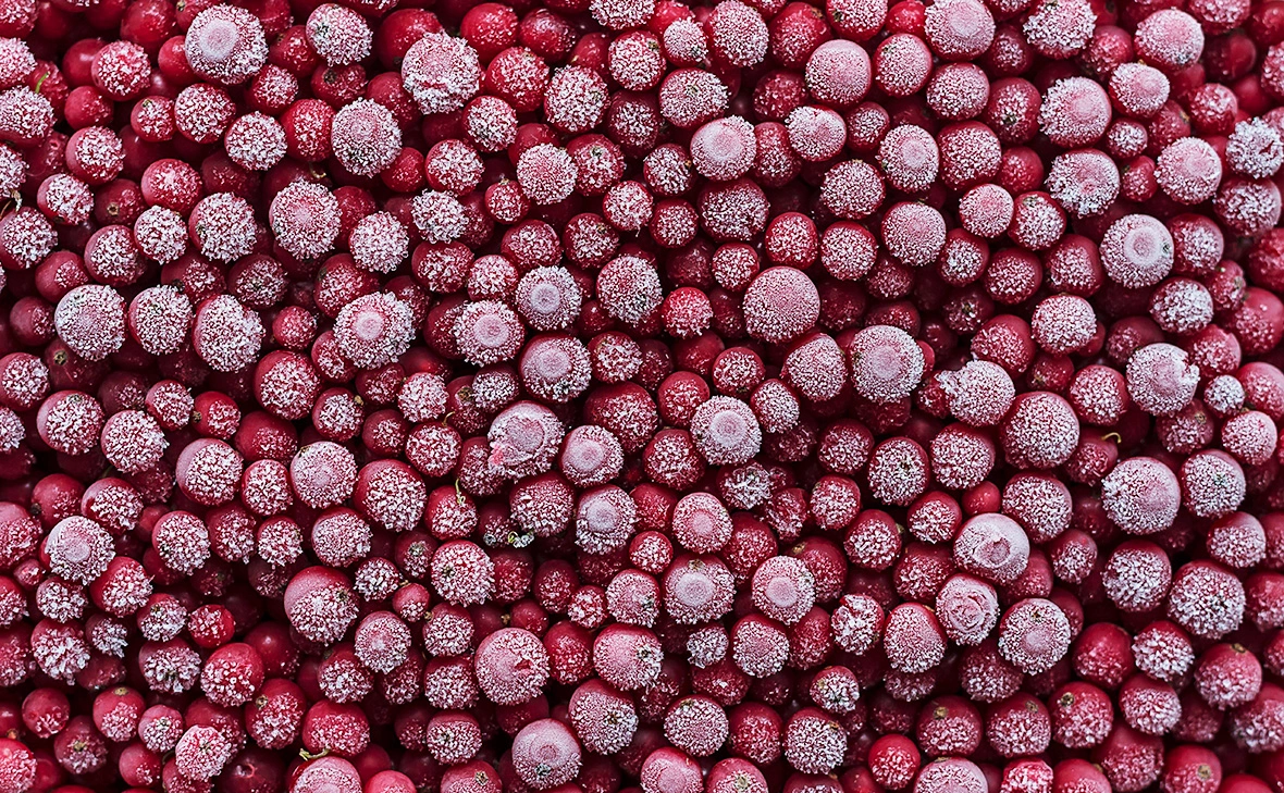 Helmut Meyer zur Capellen / imagebroker.com / Global Look Press