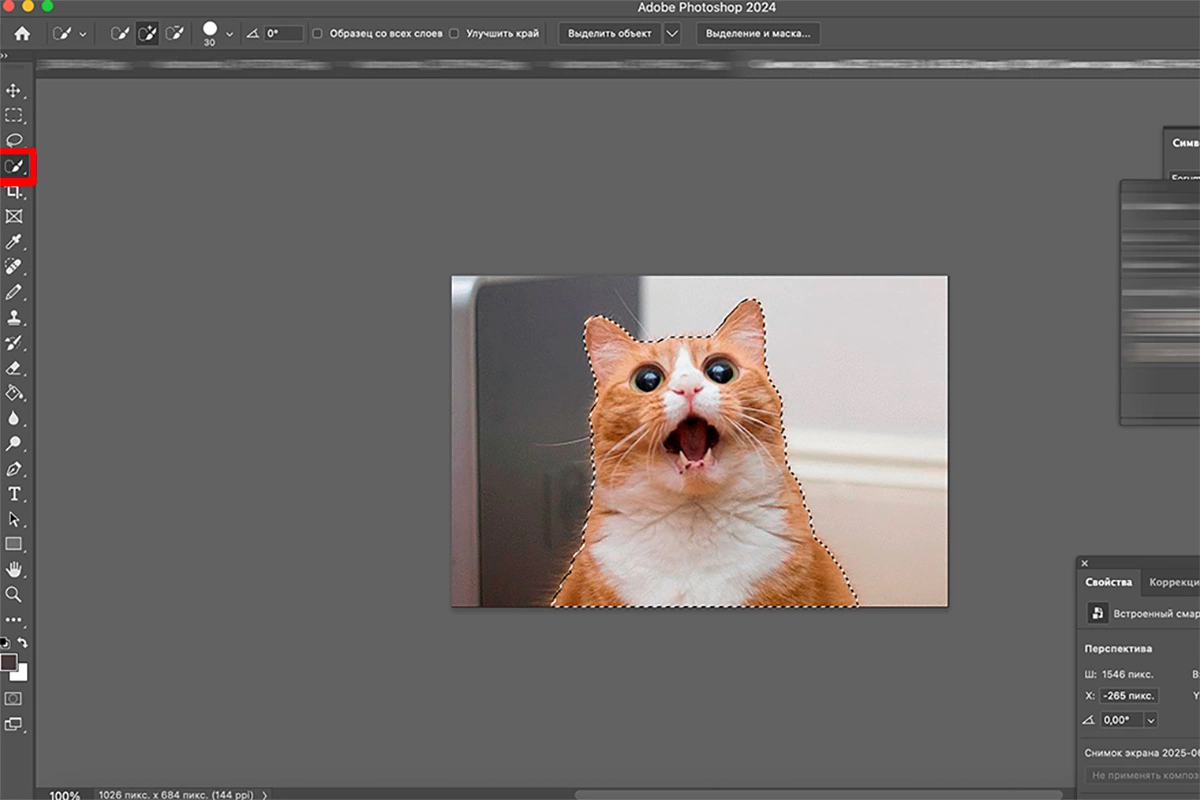 Стикеры на компьютере можно сделать с помощью Adobe Photoshop
