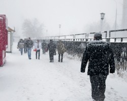 Синоптики обещают москвичам небольшой снег