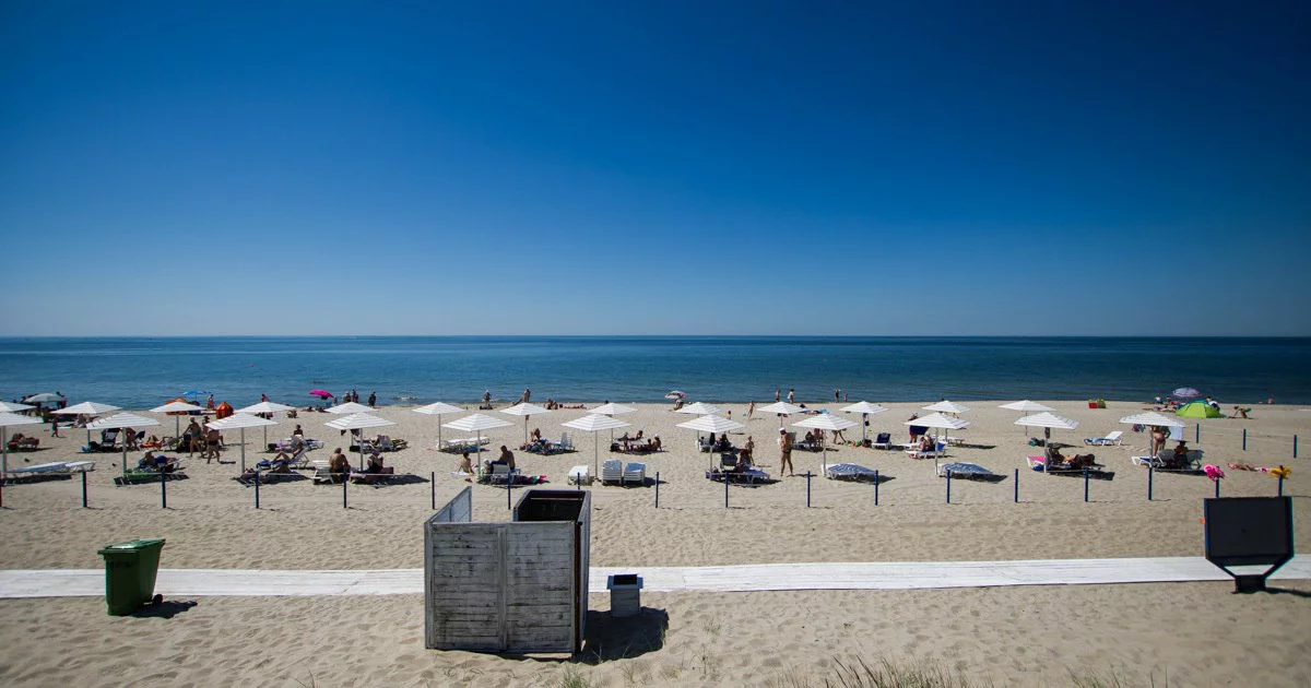 Александр Подгорчук