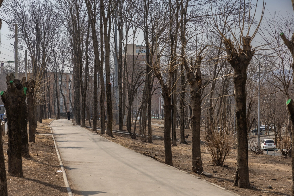 Администрация Владивостока