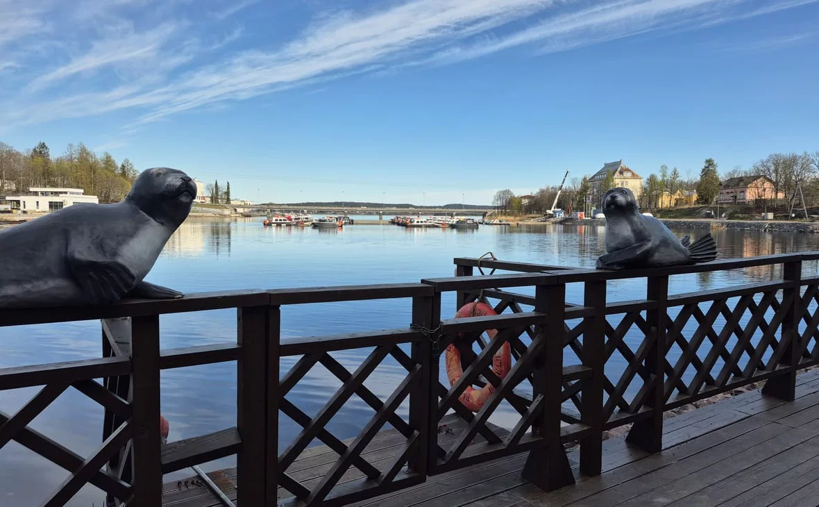 РБК Карелия