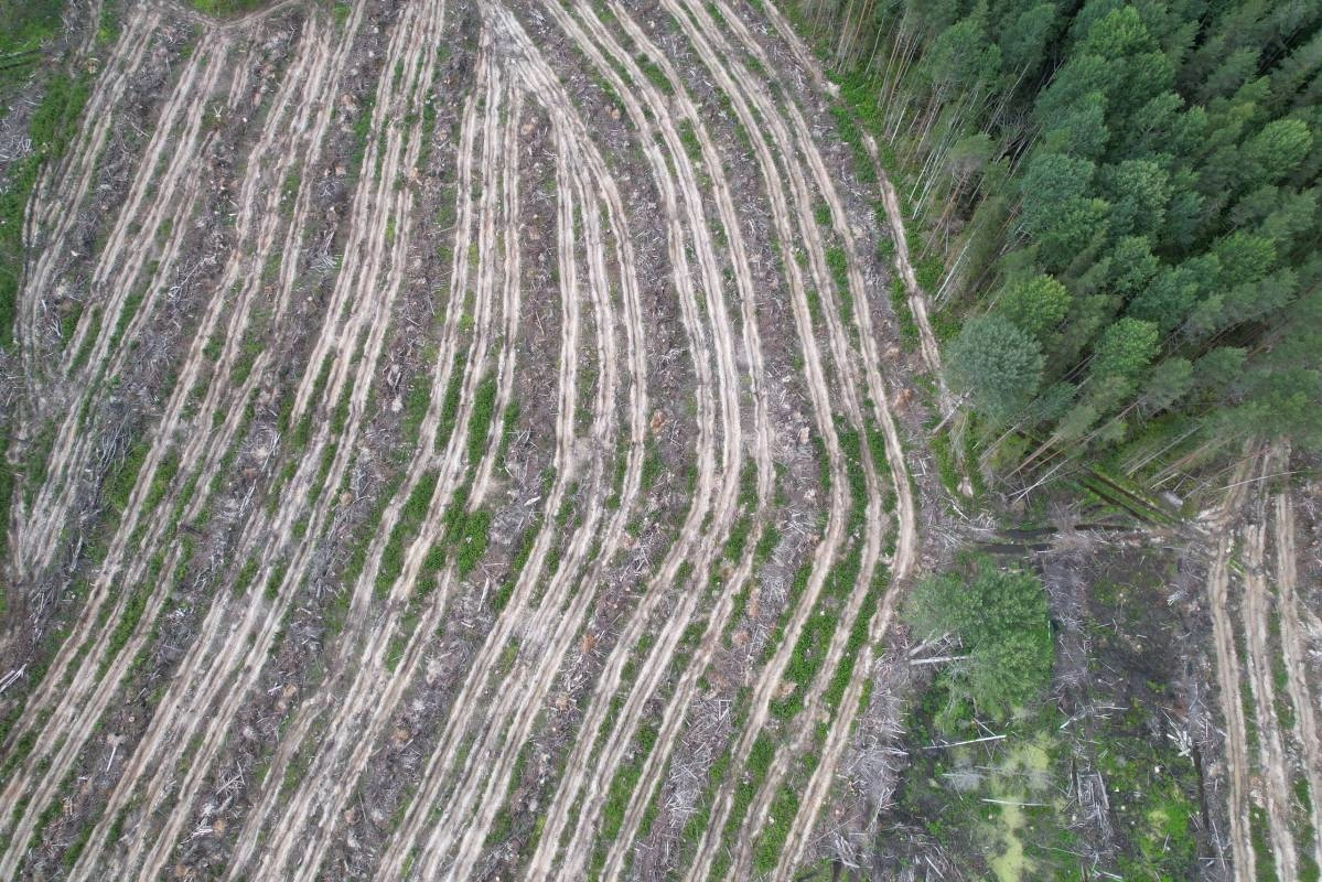 правительство Вологодской области