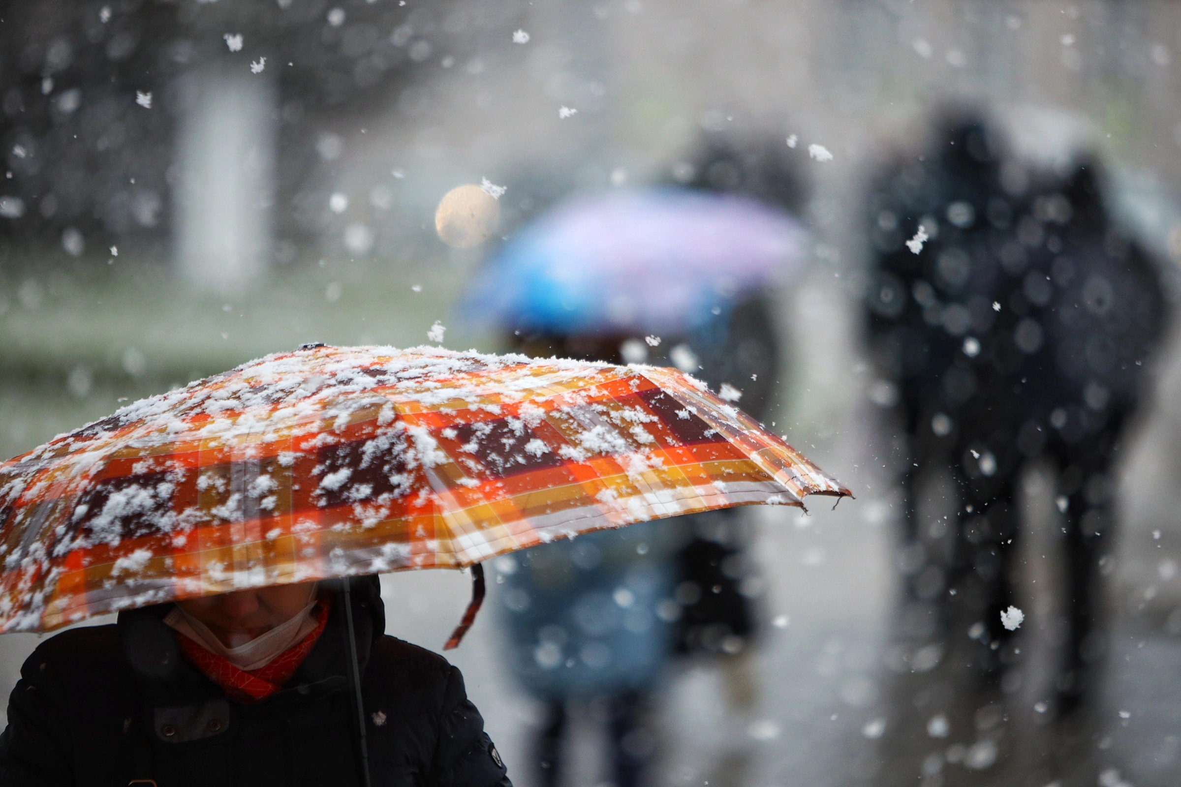 Александр Подгорчук