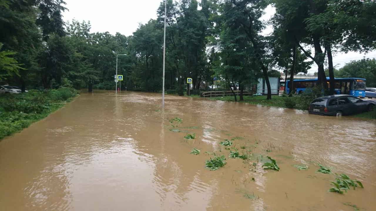 РБК Приморье