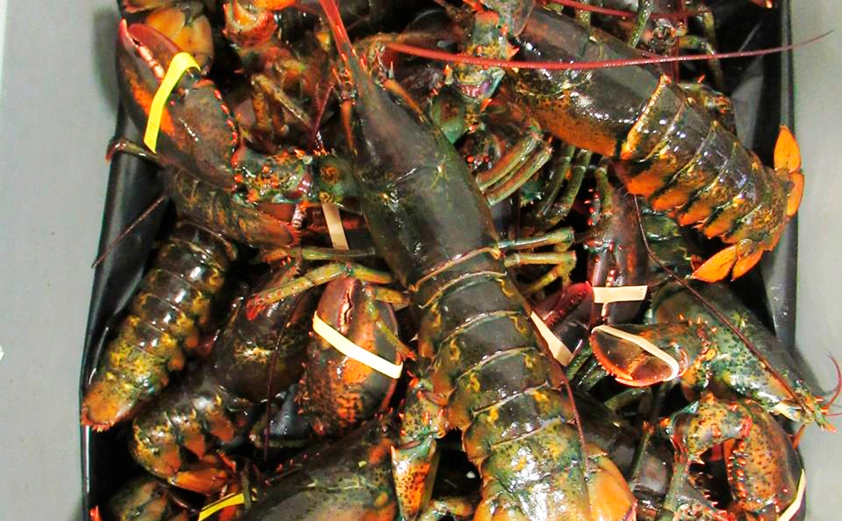 ФТС России / Telegram