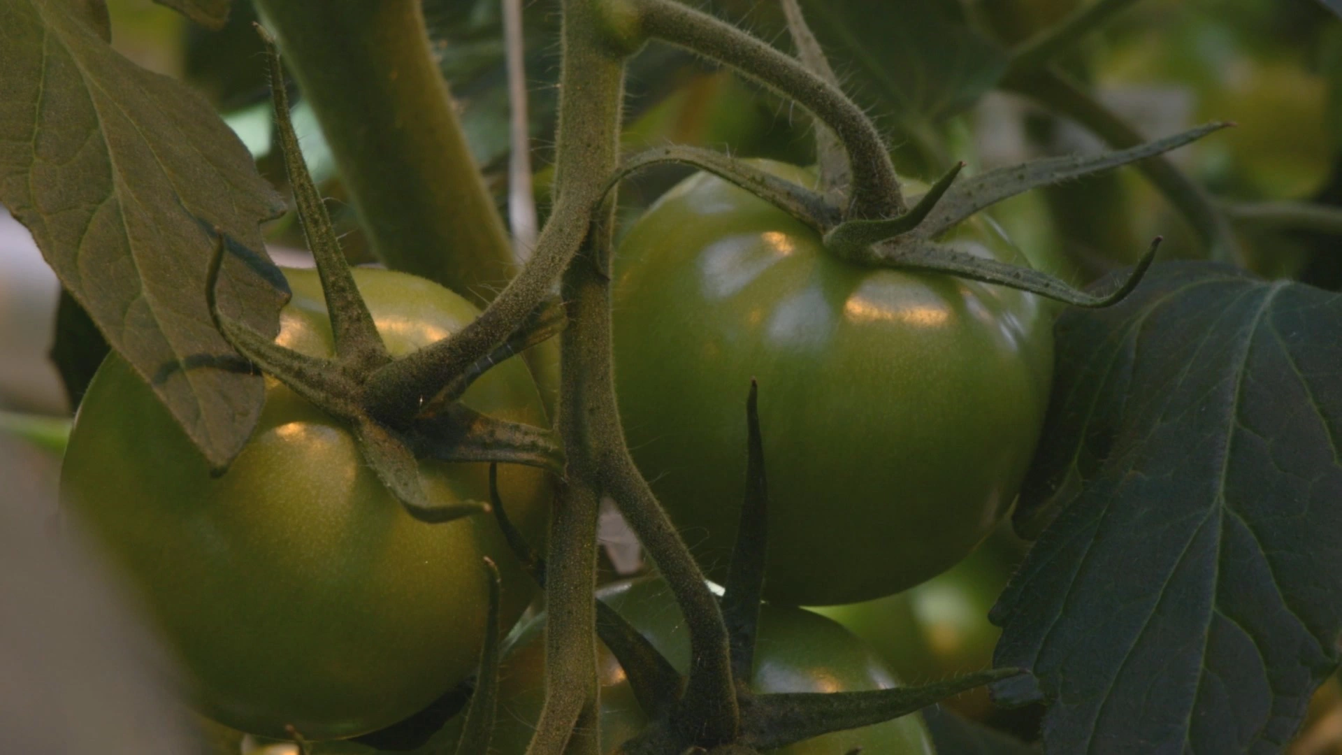 Правительство Камчатского края