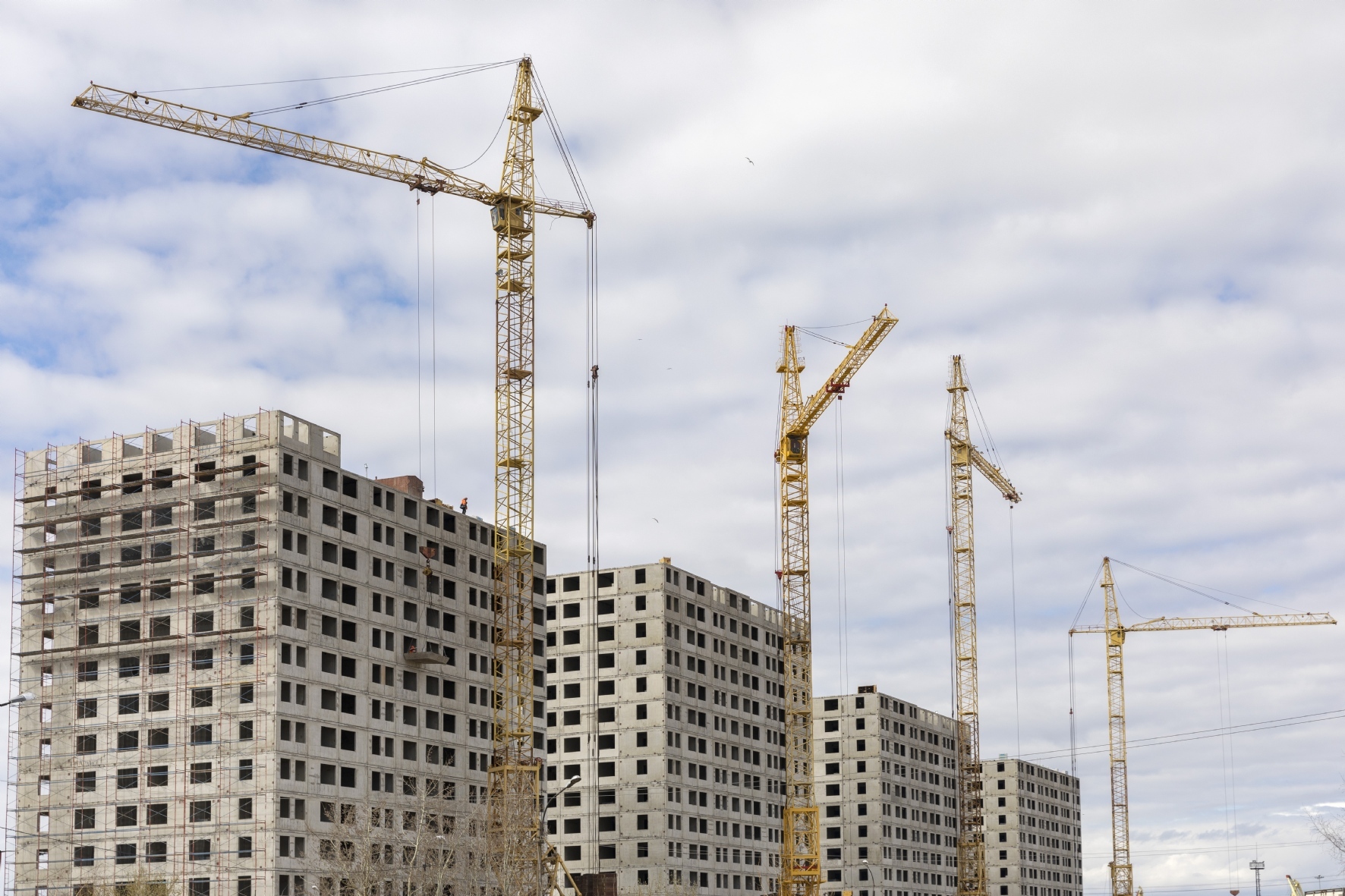 Фото: PhotoXPress.ru