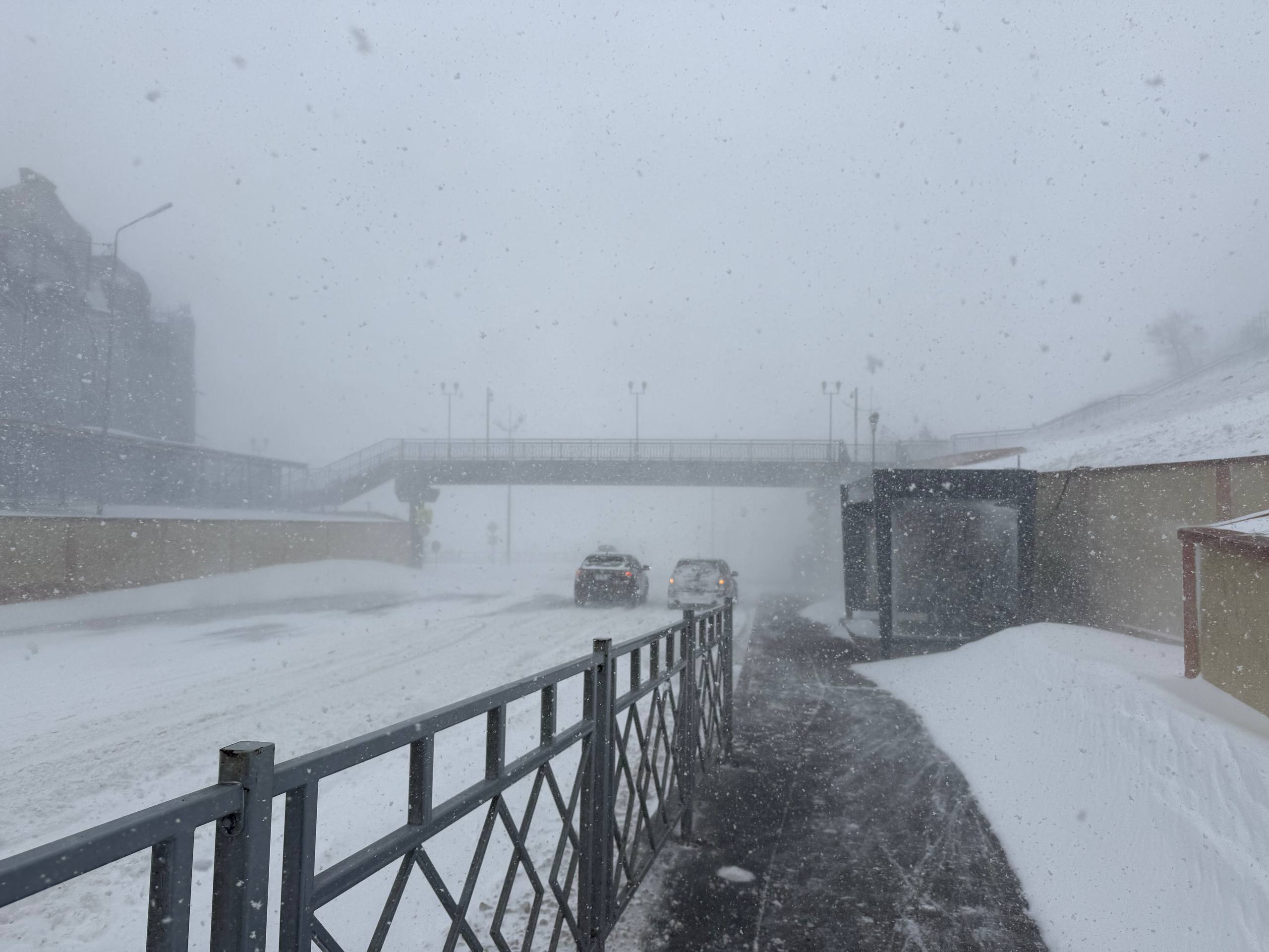 Фото: РБК Приморье