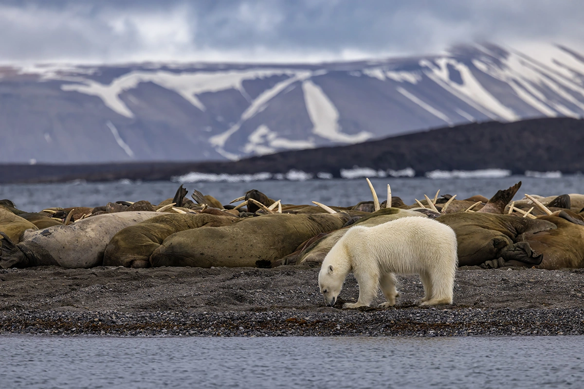 На край света. Почему стоит поехать в круиз на Дальний Восток этим летом