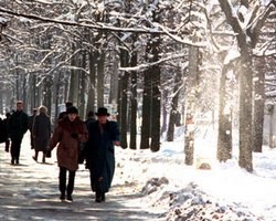 В Северной столице сохраняется ночной минус и дневной снег