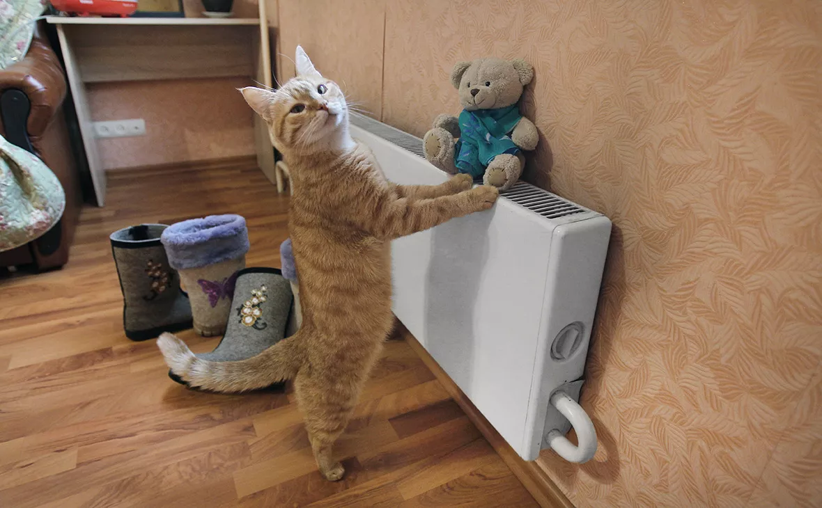 Мария Девахина / РИА Новости