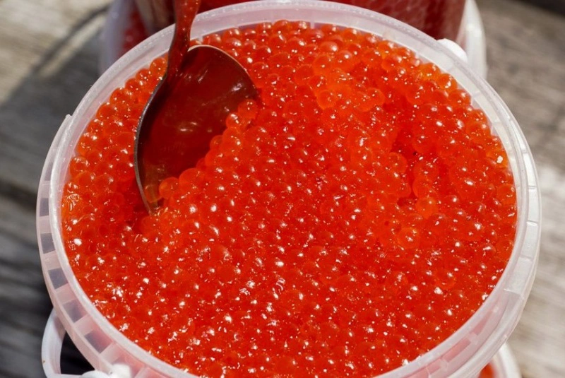 Администрация Петропавловско-Камчатского ГО