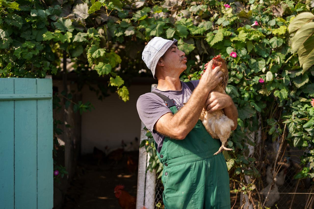 В 2023 году вступил в силу закон, который разрешает россиянам разводить сельскохозяйственную птицу (кур, уток, гусей и индюков) и кроликов на садовых и огородных участках&nbsp;
