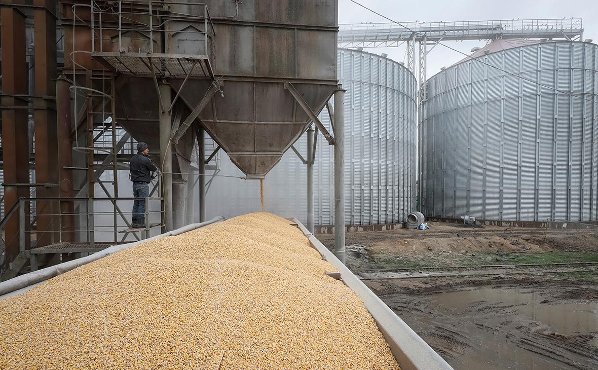 Молдавия вслед за странами ЕС решила ограничить импорт зерна из Украины"/>













