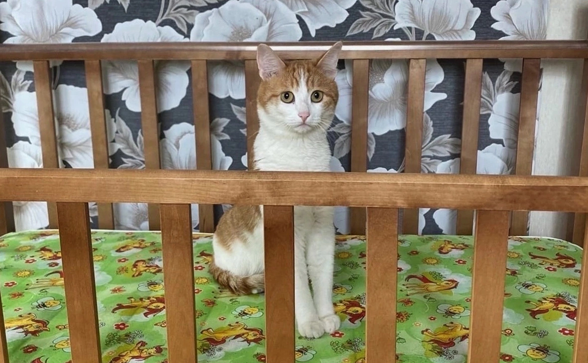 Ольга Кудряшова / VK