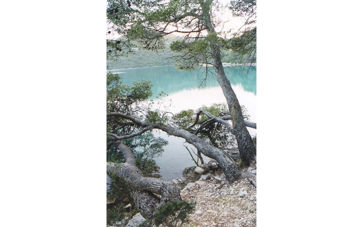 Национальный парк на острове Млет, Хорватия