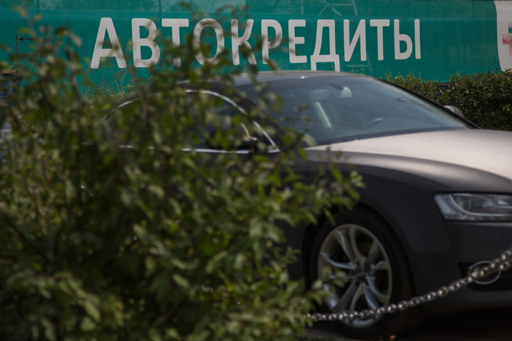 Ведомости/PhotoXPress.ru