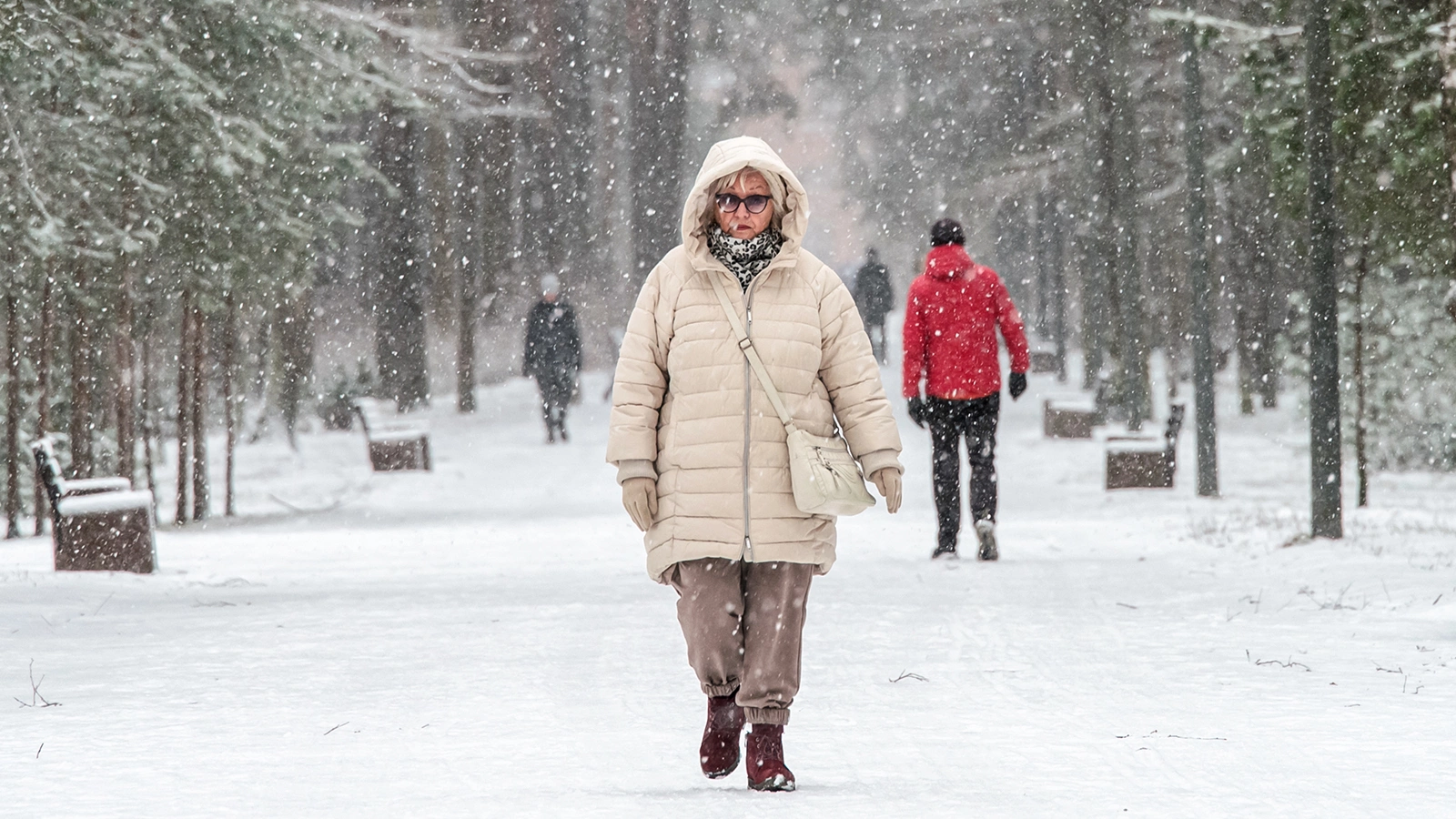 Названа стоимость покупки пенсионных баллов в 2026 году