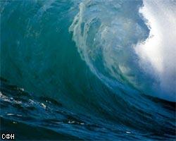 Глобальная система раннего оповещения о цунами появится в 2007г.