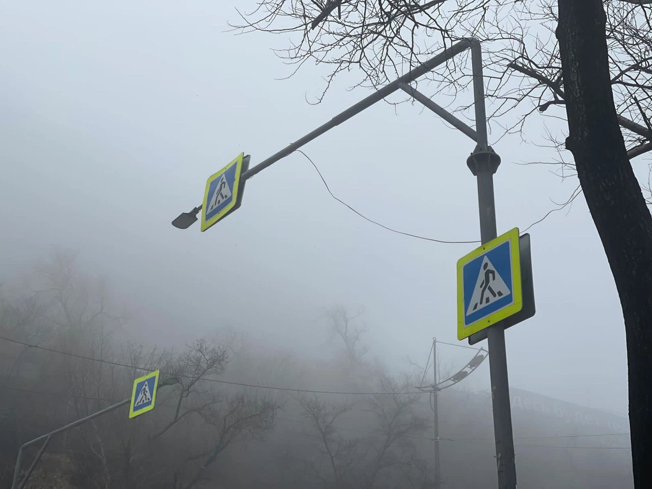 РБК Приморье