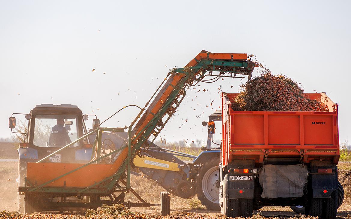 Аналитики назвали главные тренды развития АПК на 2026 год