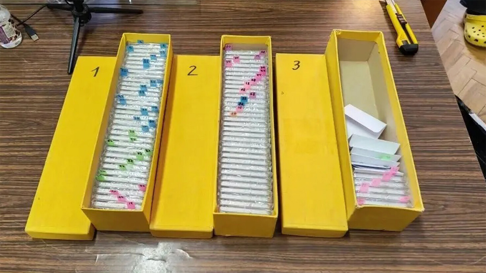 Украденные французом у себя на родине экспонаты музея