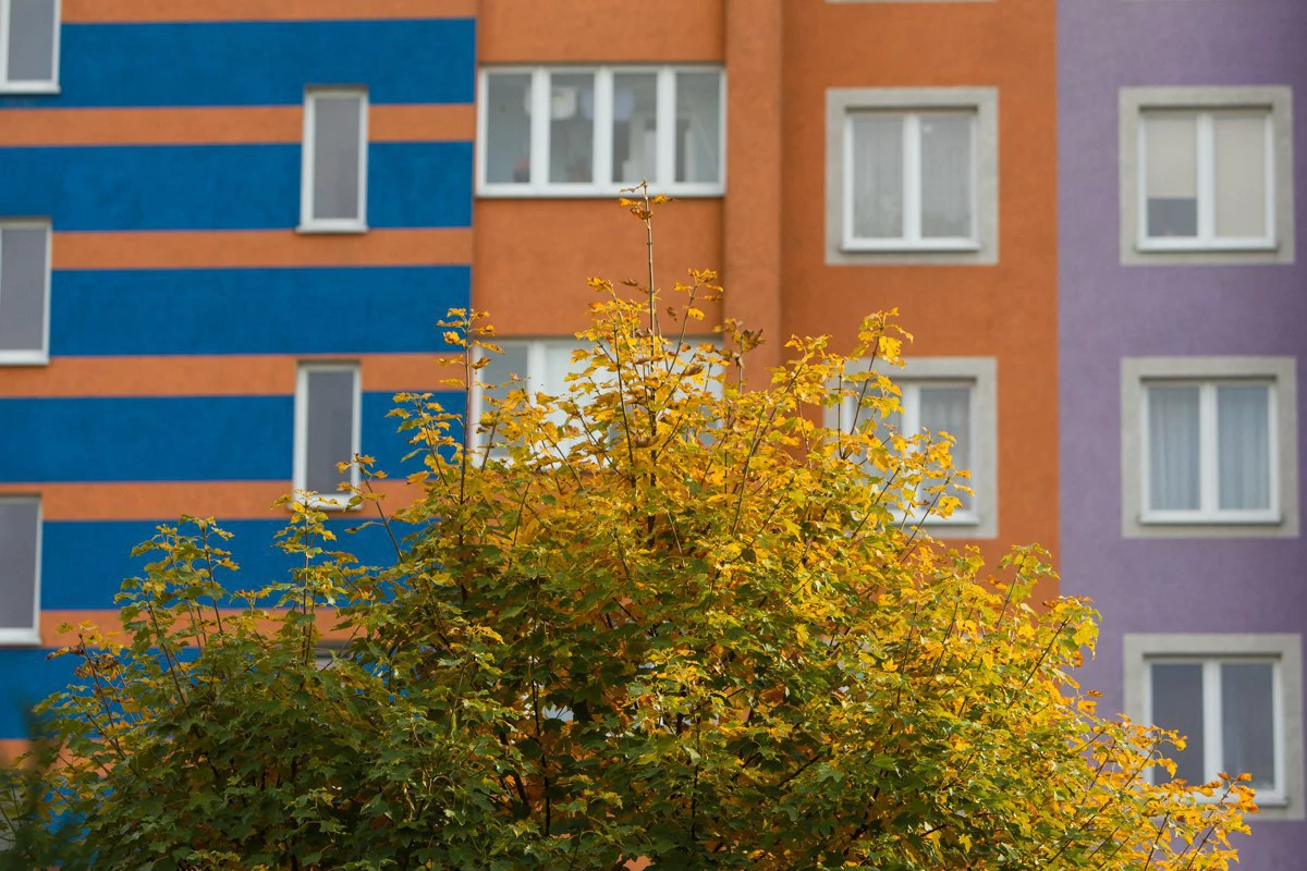 Александр Подгорчук