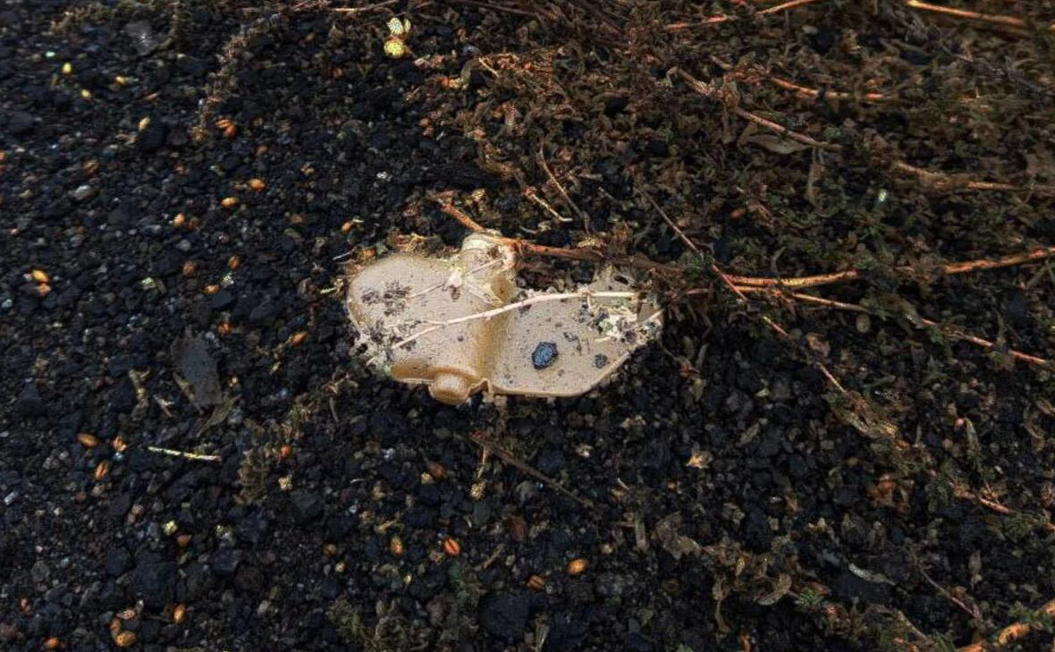 vvgladkov / Telegram