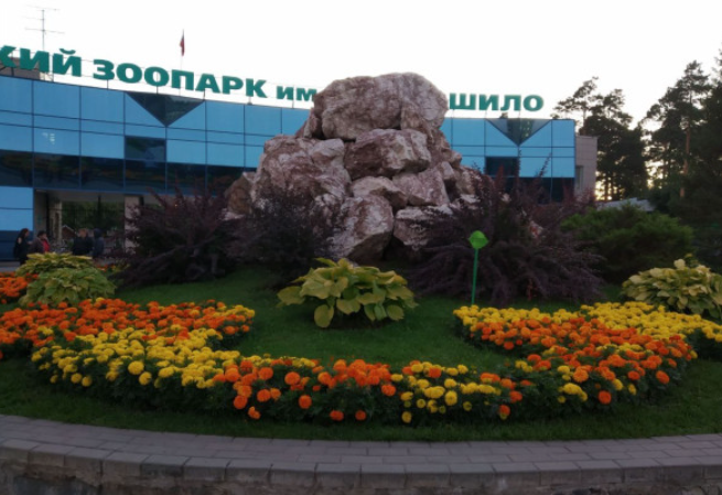 Алексей Коваленок / РБК Новосибирск