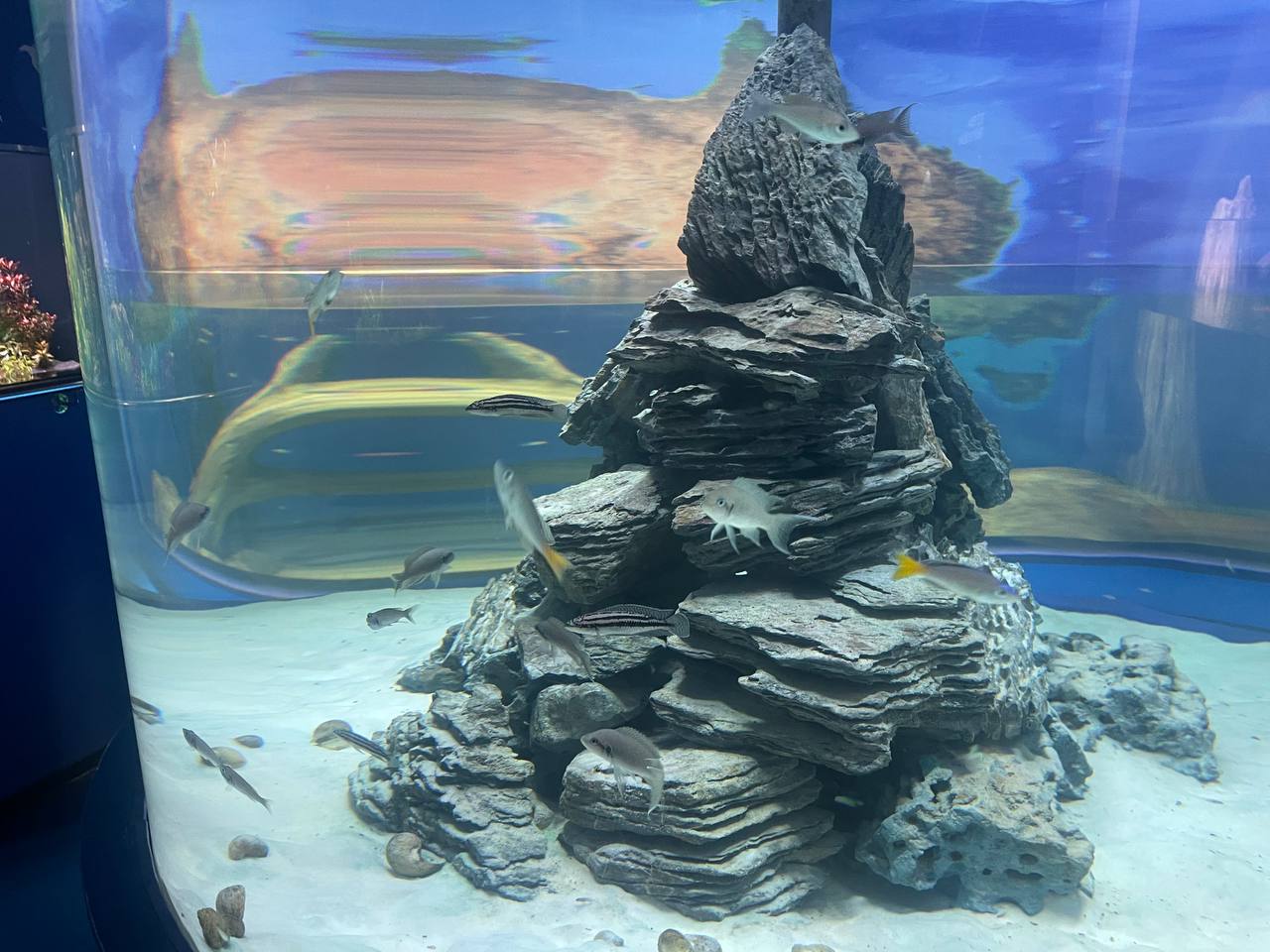 Фото: Марина Маркевич