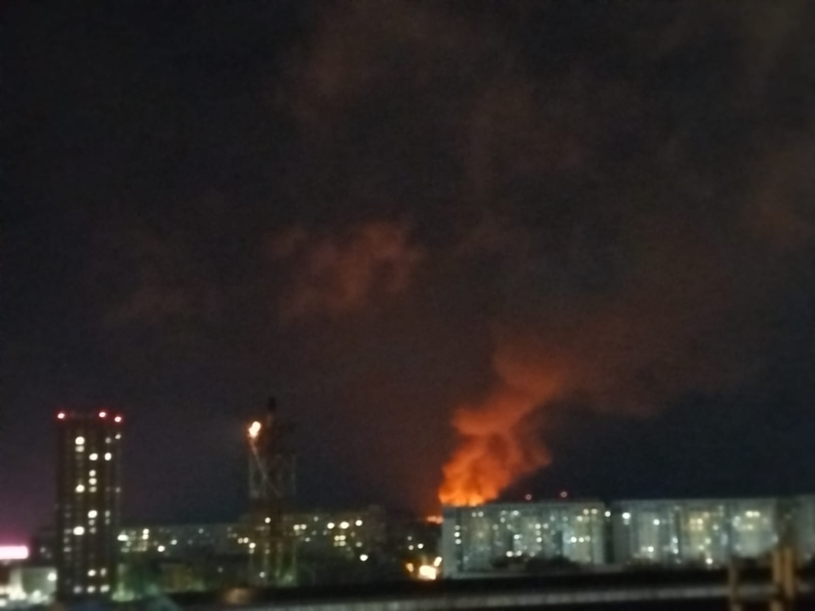 В Новосибирске произошел пожар на территории зоопарка