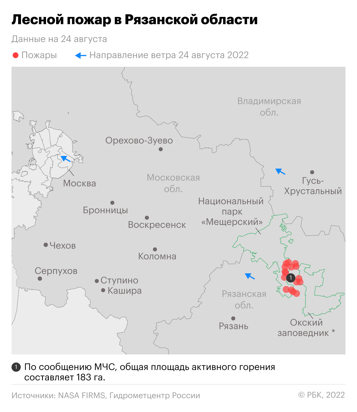 Лесной пожар в Рязанской области. Карта — РБК