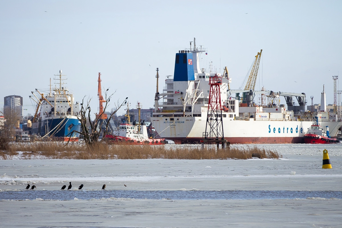 Александр Подгорчук