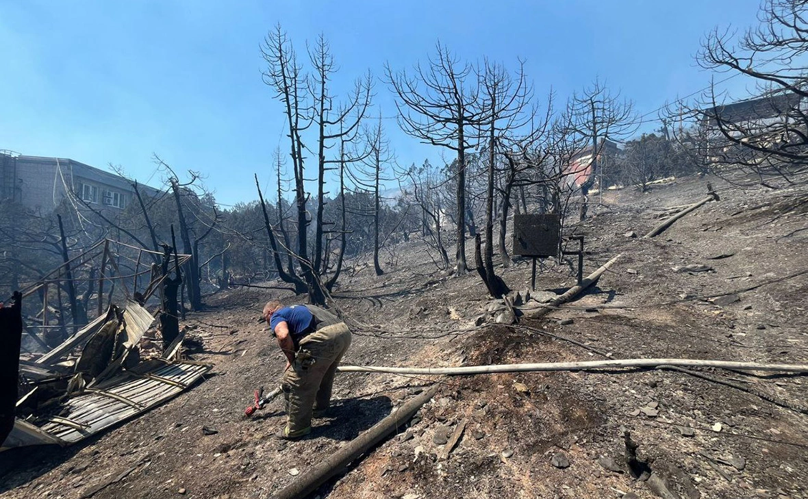 alekseioderov / Telegram